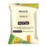 ان پی کی بیوریچ 10