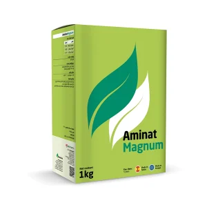 آمینات مگنوم