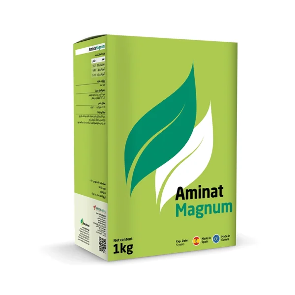 آمینات مگنوم