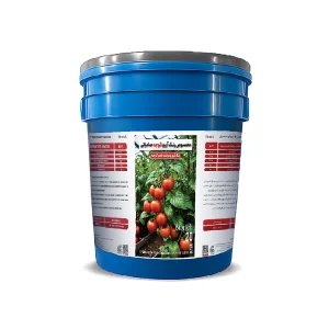 مخصوص رنگ آوری گوجه صادراتی