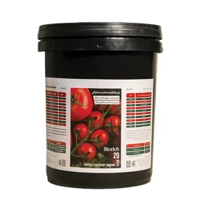 ویژه گوجه صادراتی